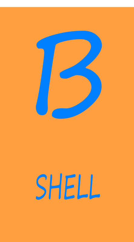 B Shell