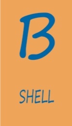 B Shell