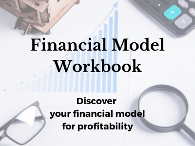 Financial Model Workbook 